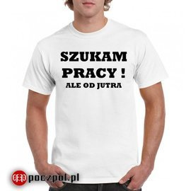 Szukam pracy