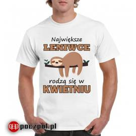 Największe leniwce rodzą się w...
