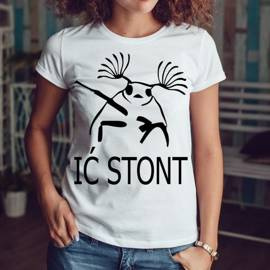Ić stont
