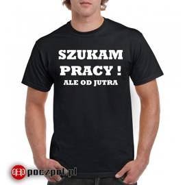 Szukam pracy