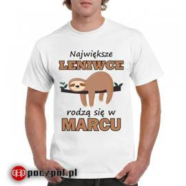 Największe leniwce rodzą się w...