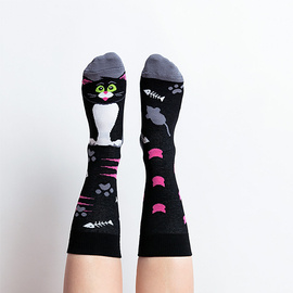 Kot - skarpety the great catsby