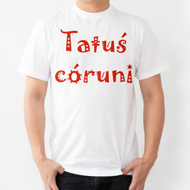 Tatuś córuni - koszulka męska
