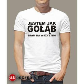 Jestem jak gołąb