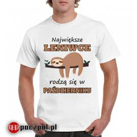 Największe leniwce rodzą się w...