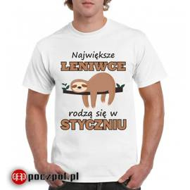 Największe leniwce rodzą się w...